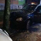 zdjęcie nr 8