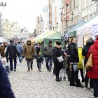 zdjęcie nr 17
