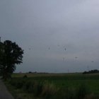 zdjęcie nr 7