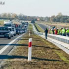 zdjęcie nr 16