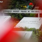 zdjęcie nr 26