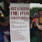 zdjęcie nr 22