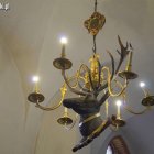 zdjęcie nr 81