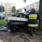 zdjęcie nr 15