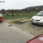zdjęcie nr 9