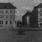 Fotka nr 4 z 34
