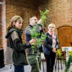 zdjęcie nr 17