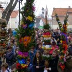 zdjęcie nr 80