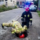 zdjęcie nr 7