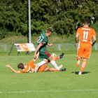 zdjęcie nr 19