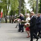zdjęcie nr 31