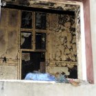 zdjęcie nr 8