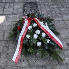 zdjęcie nr 11