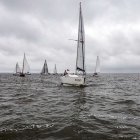 zdjęcie nr 165