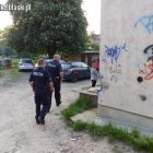 zdjęcie nr 8