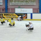  Marek Lewandowski