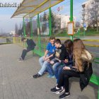 zdjęcie nr 7