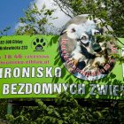 zdjęcie nr 12