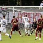 zdjęcie nr 13