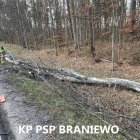 zdjęcie nr 9