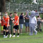 zdjęcie nr 13