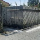 zdjęcie nr 11