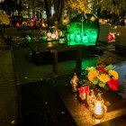 zdjęcie nr 17