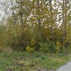  Starostwo Powiatowe w Elblągu