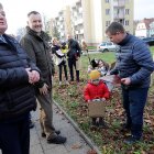 zdjęcie nr 21