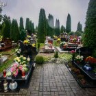 zdjęcie nr 18
