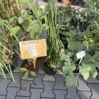zdjęcie nr 33