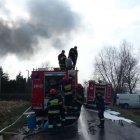 zdjęcie nr 12