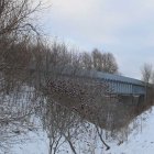 zdjęcie nr 11