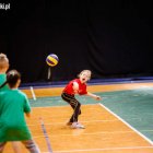 zdjęcie nr 10