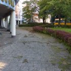 zdjęcie nr 11