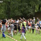zdjęcie nr 33