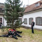zdjęcie nr 16