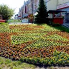 zdjęcie nr 10