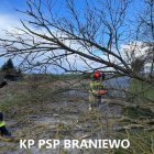 zdjęcie nr 14