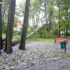 zdjęcie nr 8