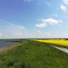 zdjęcie nr 84