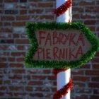zdjęcie nr 16