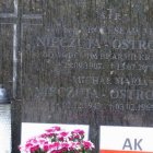 Uroczyste złożenie wieńców i zniczy na grobie gen. bryg. Bolesława...