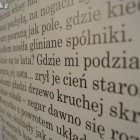 zdjęcie nr 11