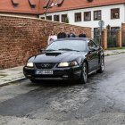 zdjęcie nr 23