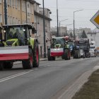 zdjęcie nr 80
