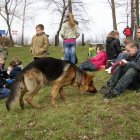 zdjęcie nr 18