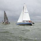 zdjęcie nr 133