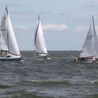 zdjęcie nr 52