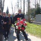 zdjęcie nr 13